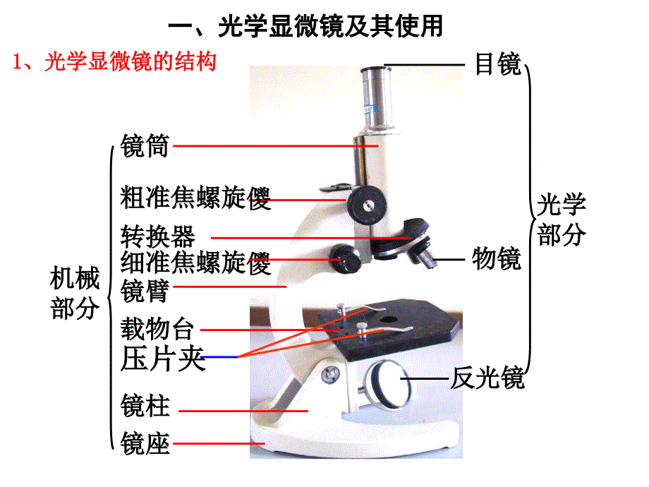 细胞的多样性和统一性上课用.ppt_第3页