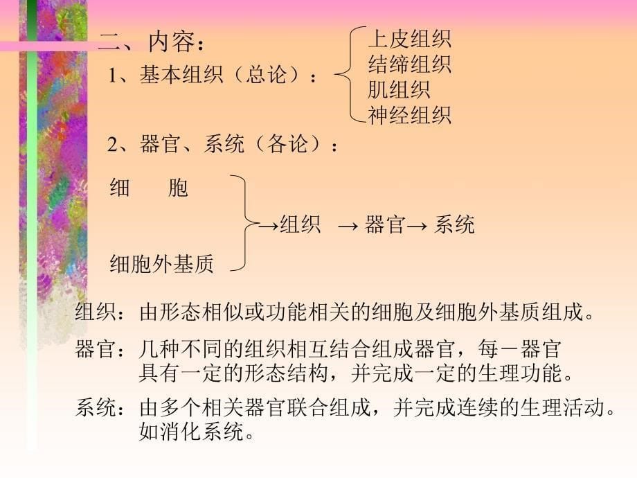 组织学与胚胎学histologyandembryology_第5页