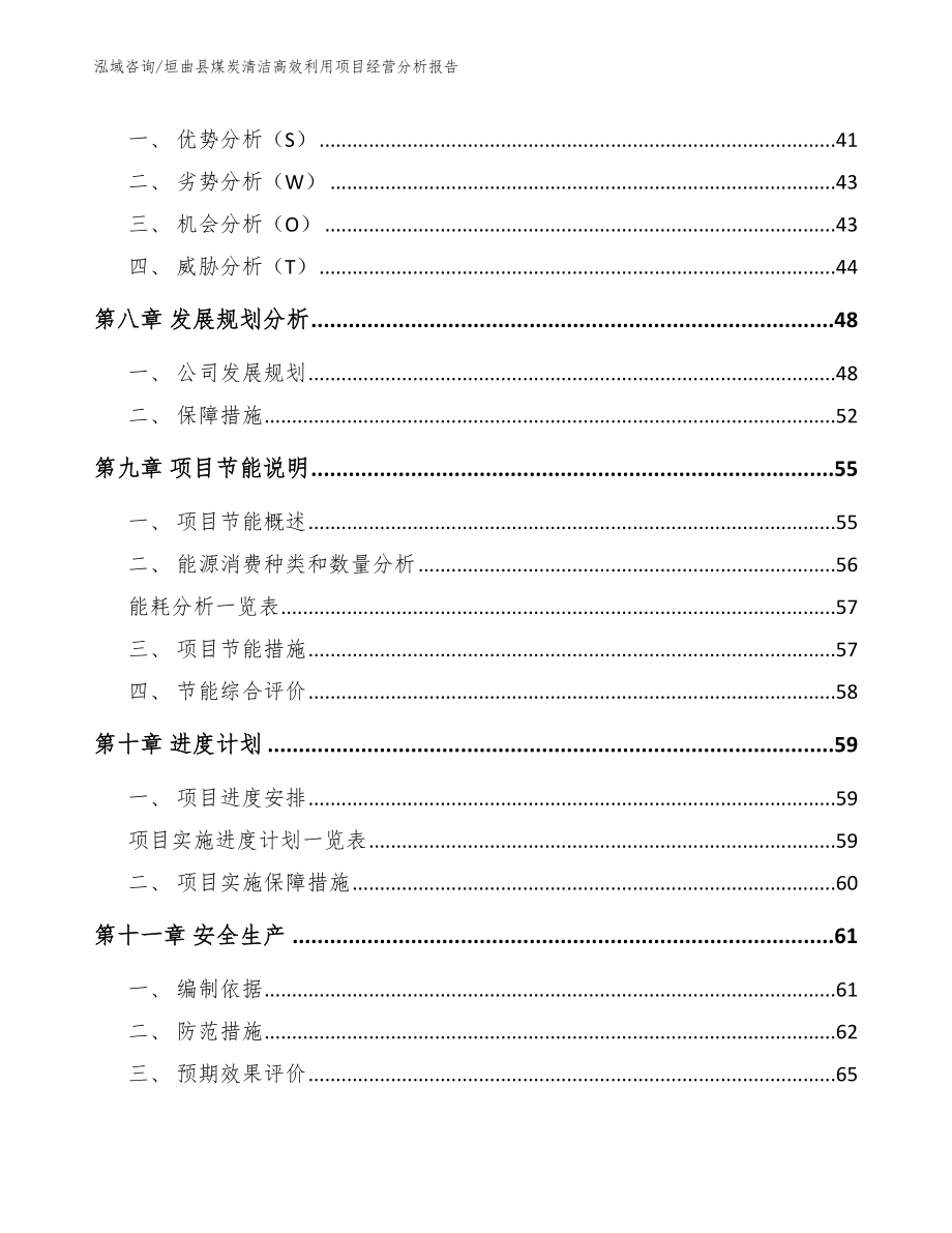 垣曲县煤炭清洁高效利用项目经营分析报告_第4页