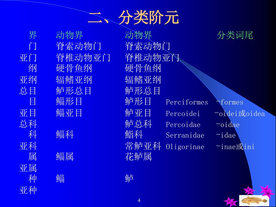 鱼的分类第二篇鱼类的系统分类_第4页