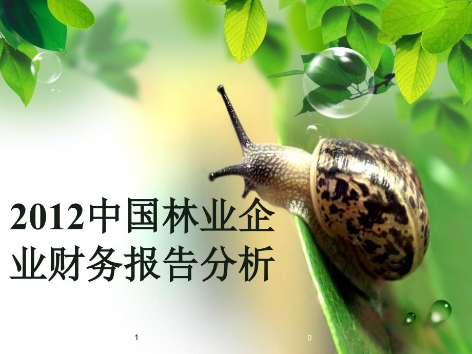 林业企业财务报告分析课件_第1页