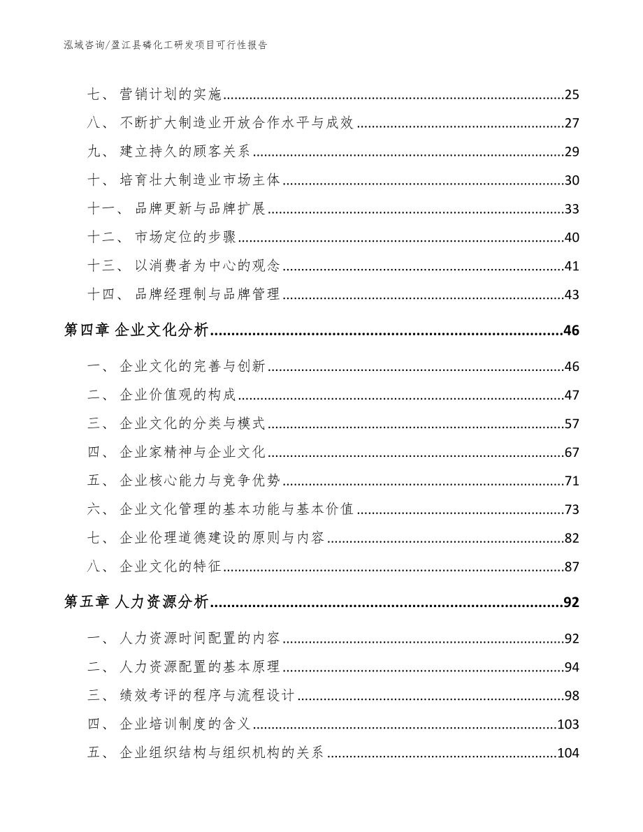 盈江县磷化工研发项目可行性报告_模板范文_第2页