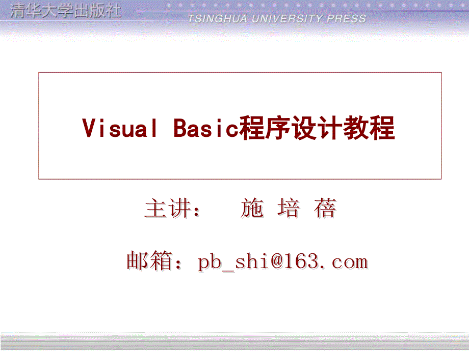 《VB程序设计概述》PPT课件.ppt_第1页