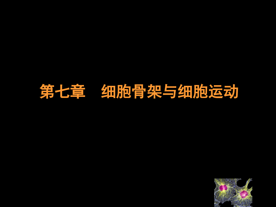 细胞生物学细胞骨架与细胞运动_第1页