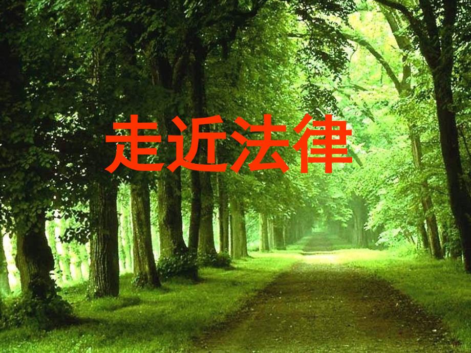 七年级下册走进法律_第1页