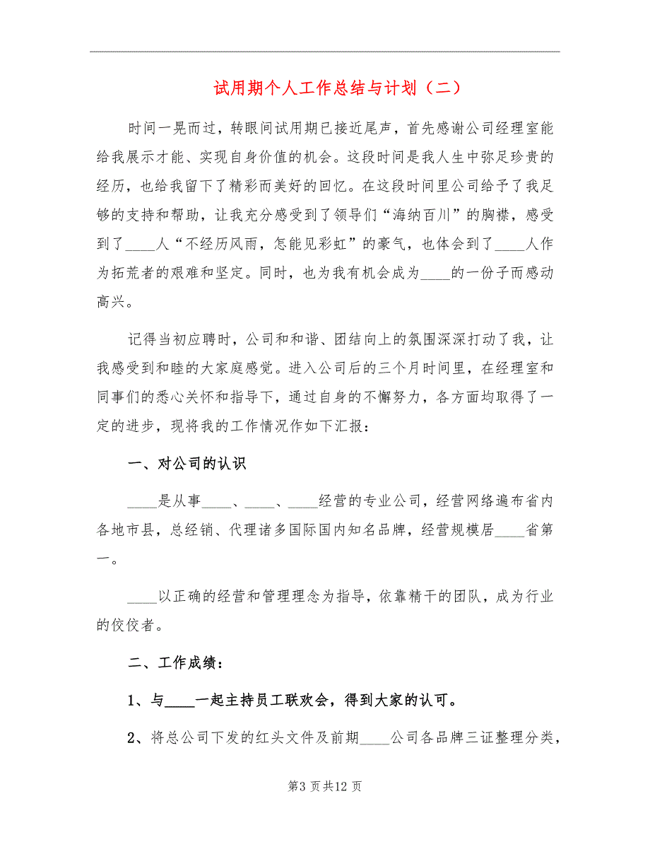 试用期个人工作总结与计划_第3页