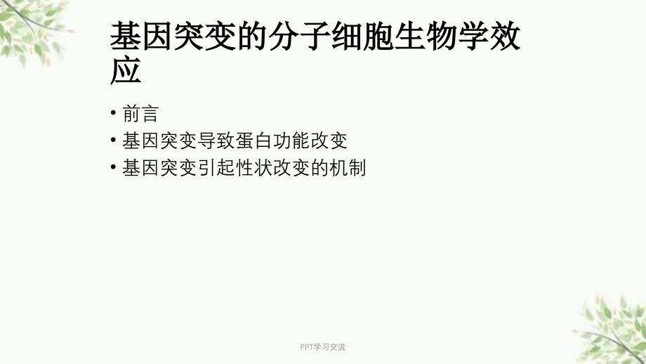 基因突变的分子医学ppt课件_第2页