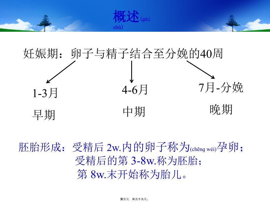 妊娠期和哺乳期用药课件_第3页