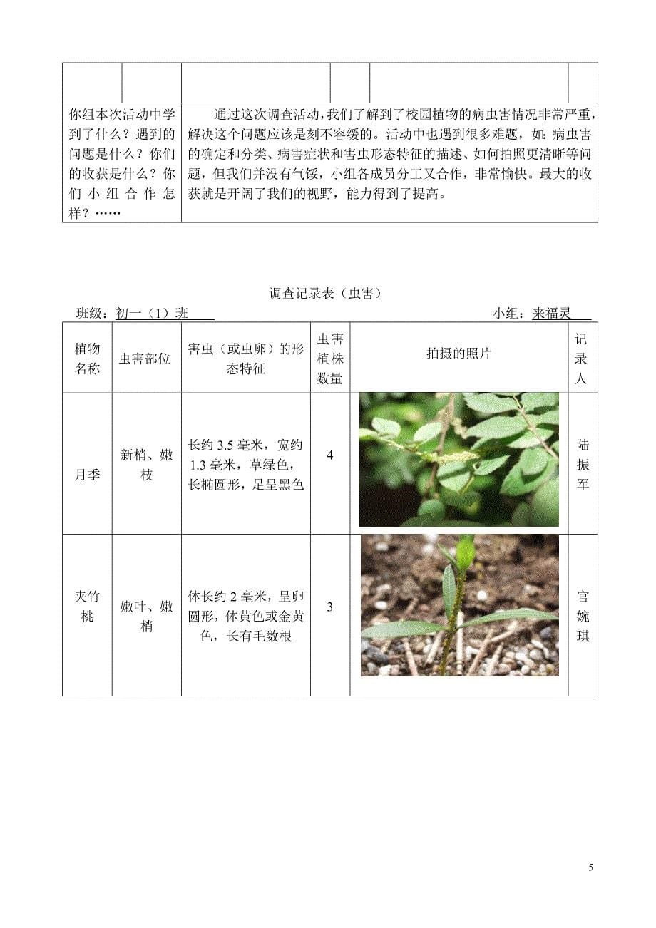 校园植物的病虫害及其防治.doc_第5页