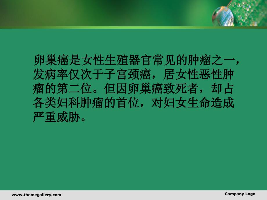 《卵巢癌的护理》PPT课件.ppt_第2页