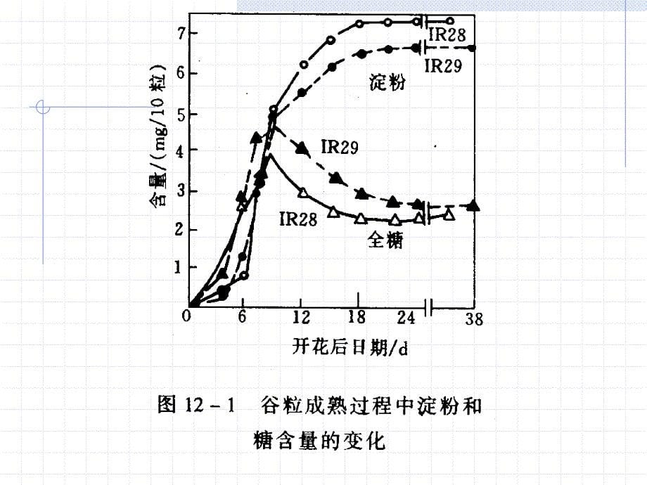 第十一章植物的成熟与衰老生理课件_第5页