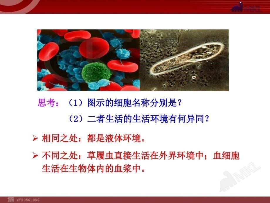 高中生物PPT授课课件人教版必修31.1细胞生活的环境_第5页