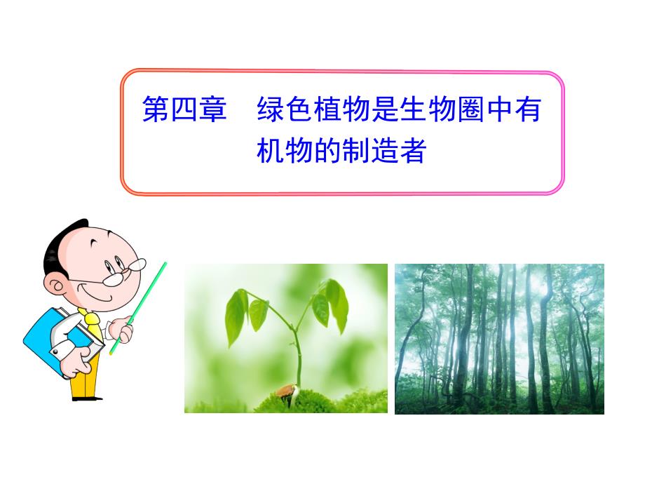 第四章《绿色植物是生物圈中有机物的制造者》_第1页