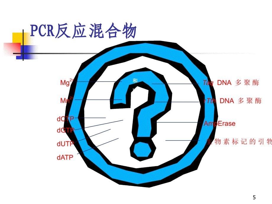 PCR试剂盒的选用和质检_第5页