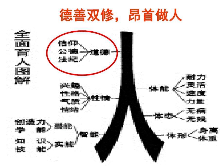 （王建宗）学校德育的层次与智慧_第5页