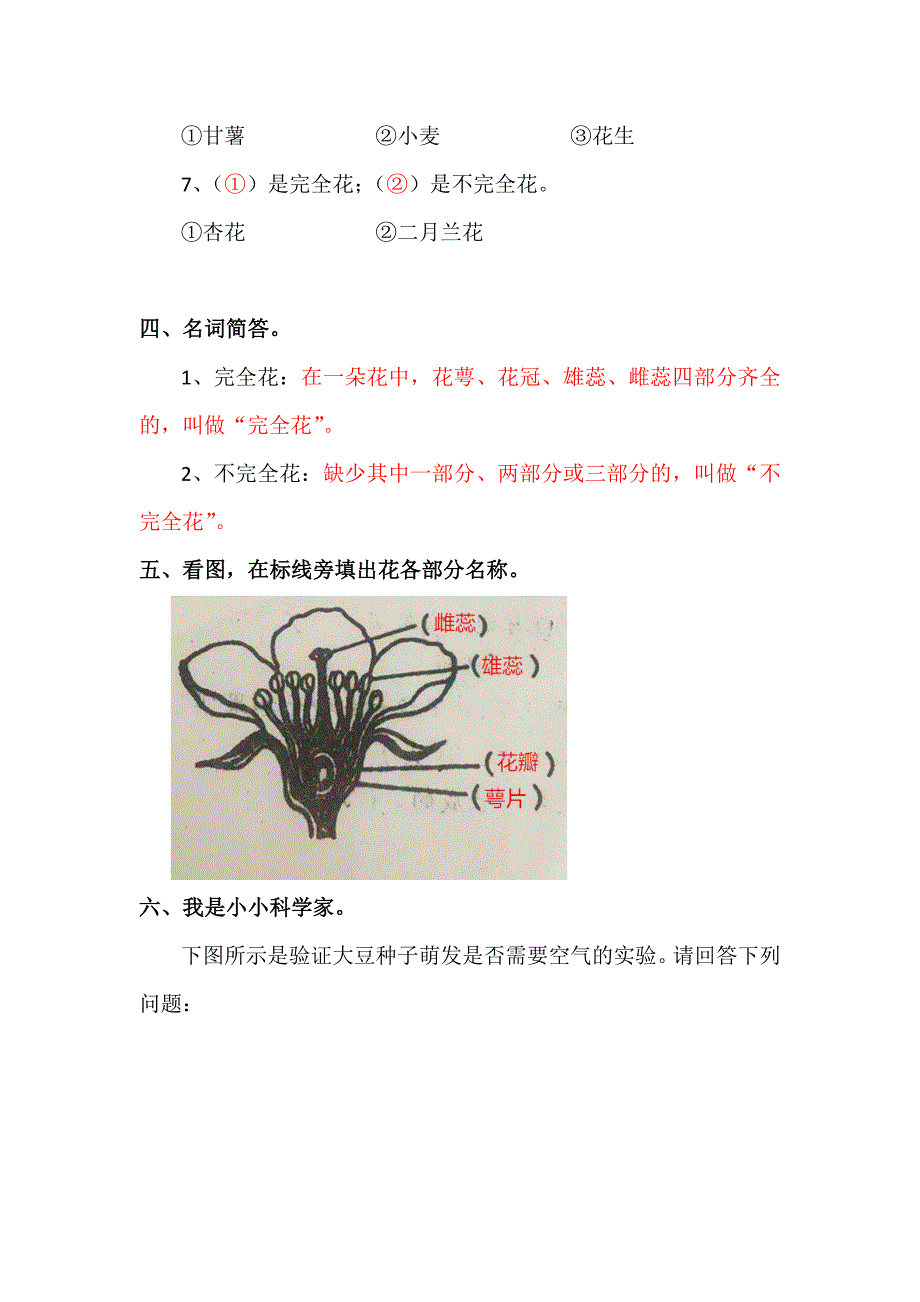 青岛出版社小学科学五年级下册第三单元测试卷_第3页