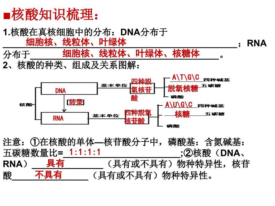 第三讲生物大分子的碳链骨架及核酸_第4页