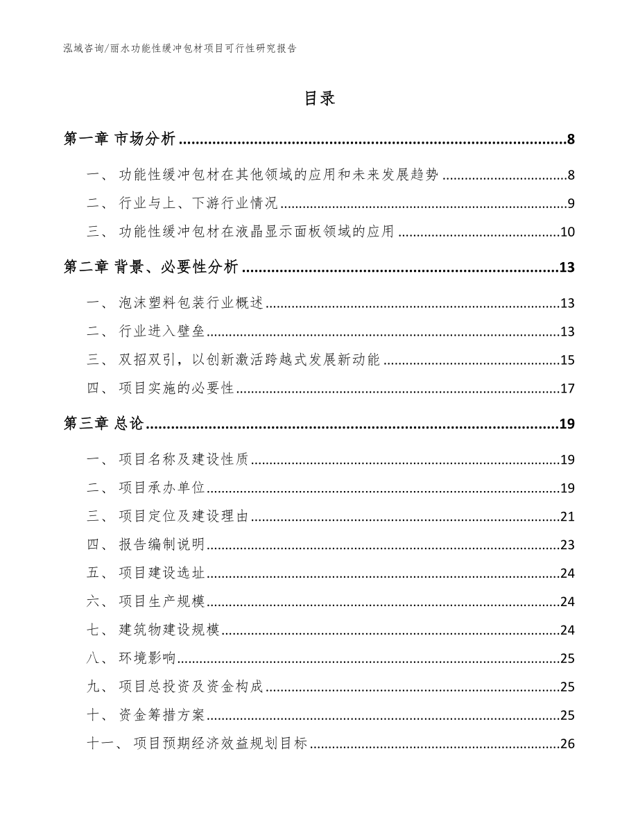 丽水功能性缓冲包材项目可行性研究报告（模板范本）_第1页