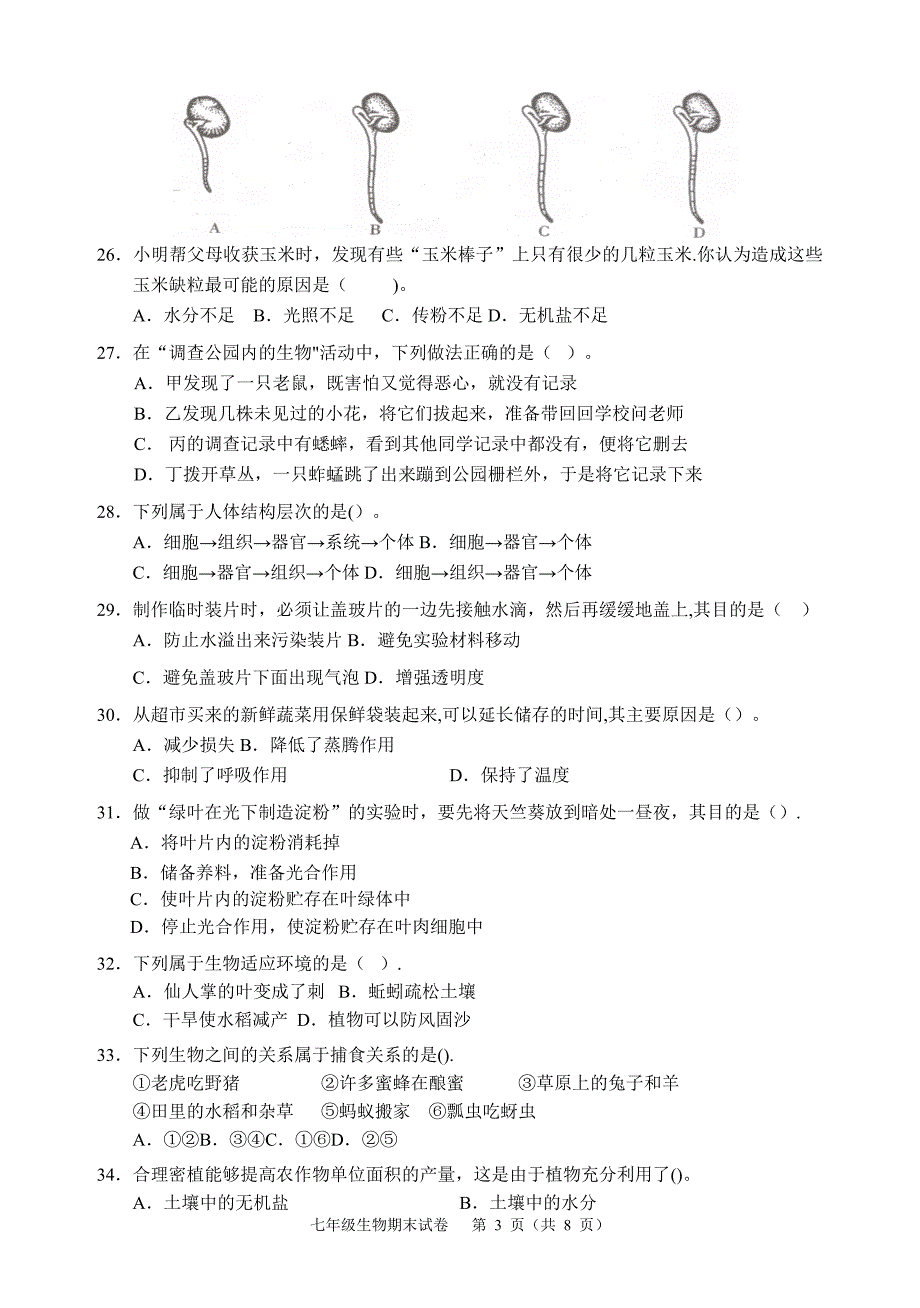 新人教版七年级生物上期末考试卷及答案63513试卷教案.doc_第3页