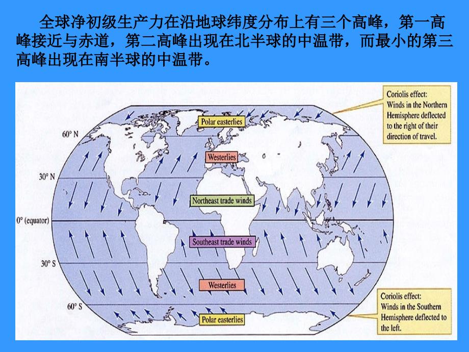 十二章节生态系统中能量流动_第4页