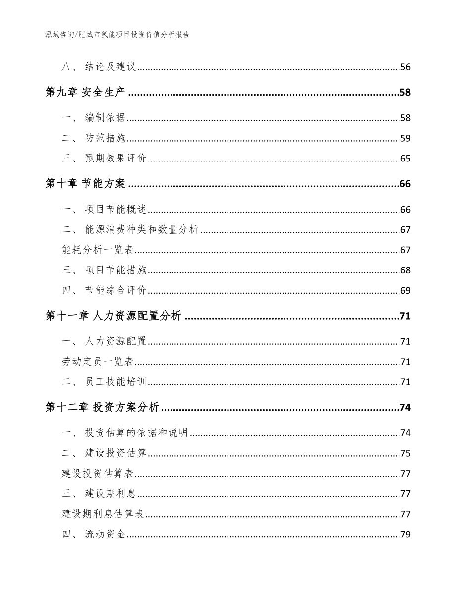 肥城市氢能项目投资价值分析报告（模板范本）_第4页