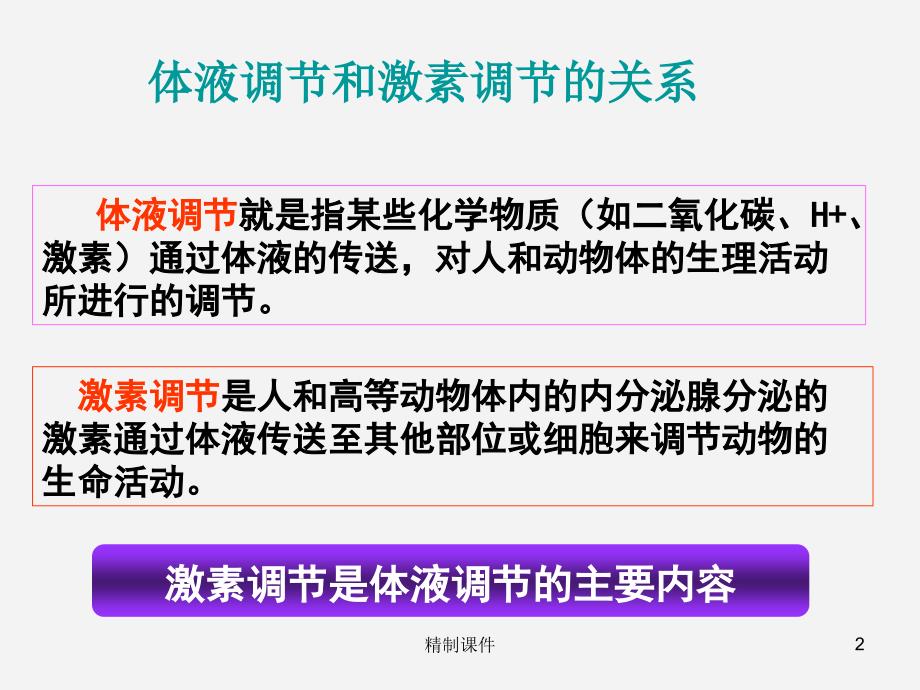 课件内分泌系统与体液调节（高级课件）_第2页