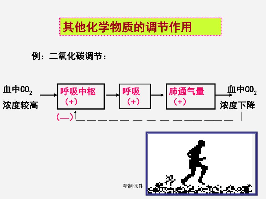 课件内分泌系统与体液调节（高级课件）_第3页