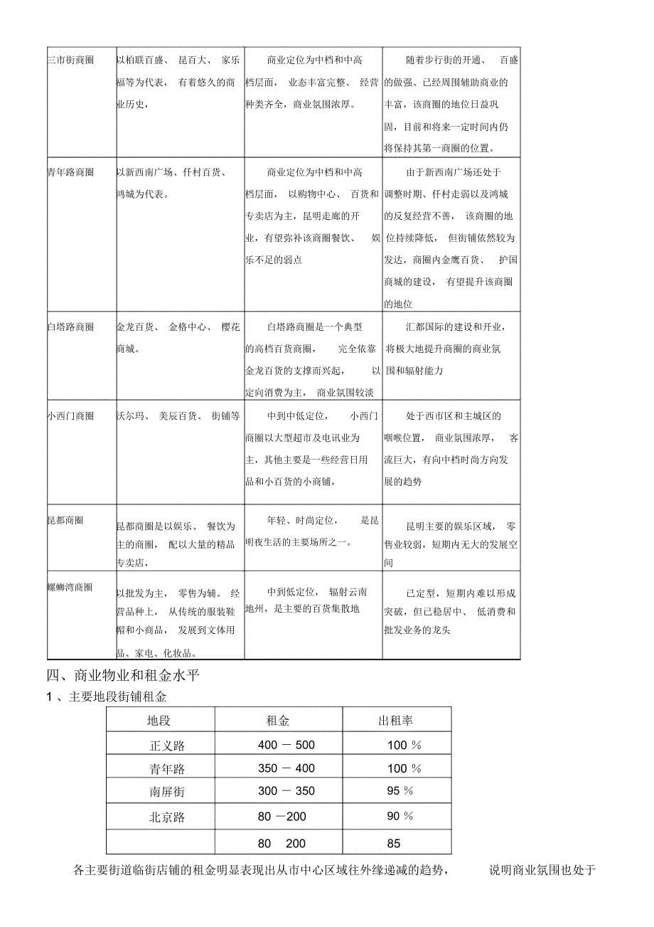 商业策划报告_第5页