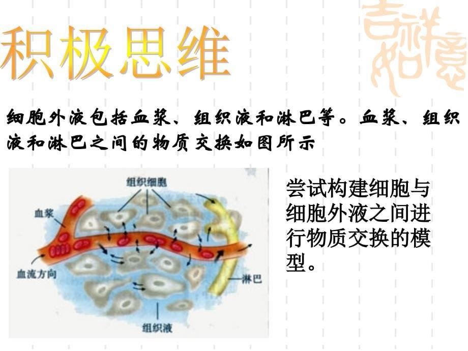 人体的稳态ppt_第5页