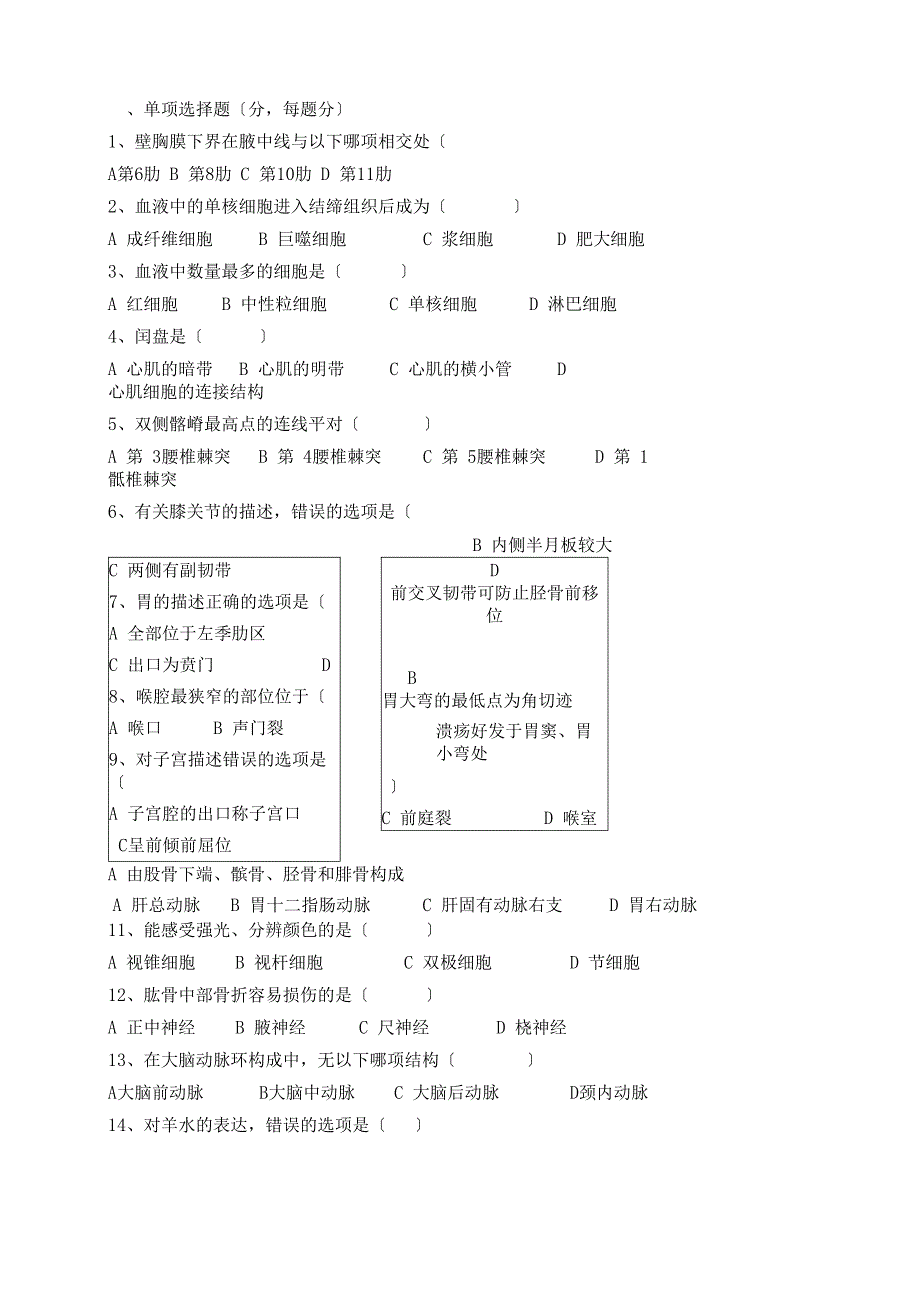 人体解剖学试题及答案_第1页