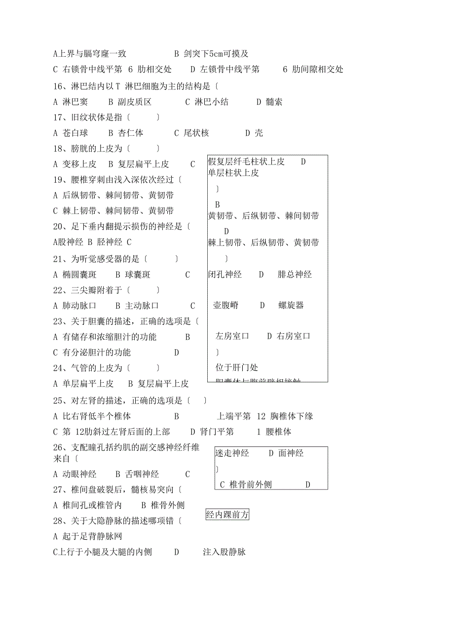 人体解剖学试题及答案_第3页