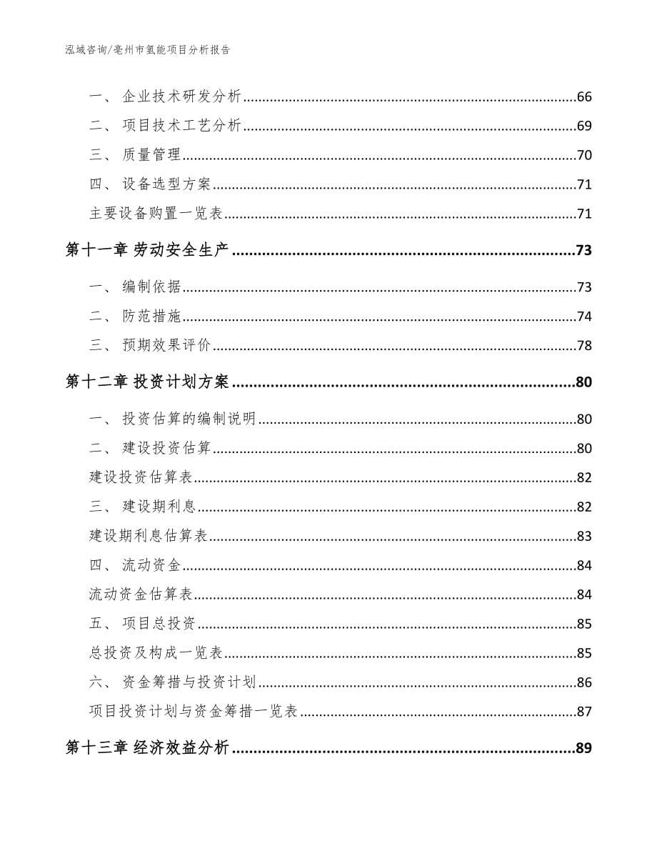 亳州市氢能项目分析报告【模板范文】_第5页