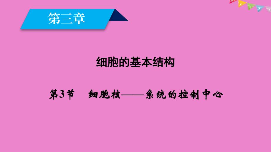 2019版高中生物 第三章 细胞的基本结构 第3节 细胞核&amp;mdash;&amp;mdash;系统的控制中心课件 新人教版必修1_第2页