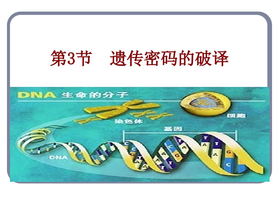 遗传密码的破译_第1页