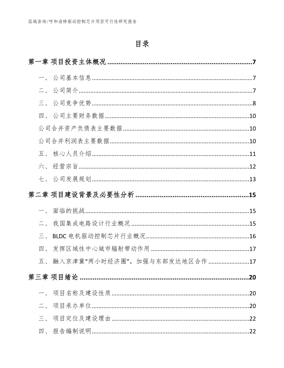 呼和浩特驱动控制芯片项目可行性研究报告模板范本_第1页