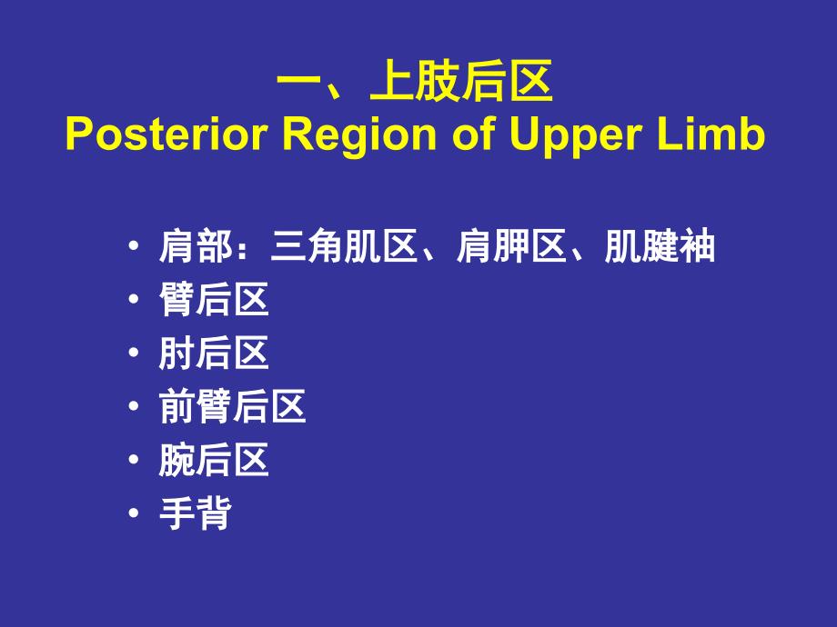 局部解剖上肢后区_第2页