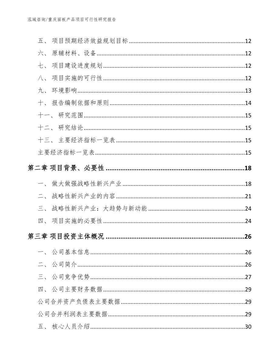 重庆面板产品项目可行性研究报告（范文模板）_第3页