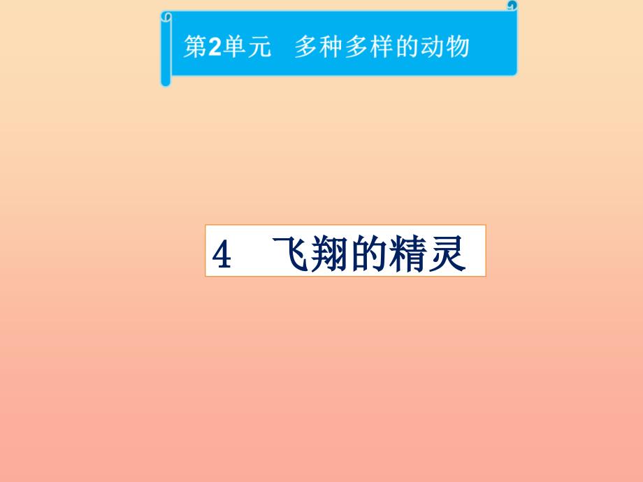 四年级科学上册2.4飞翔的精灵课件2湘教版_第1页