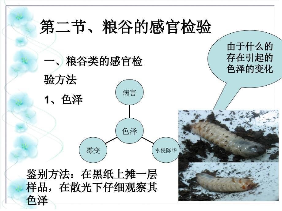 大米物理检验_第5页