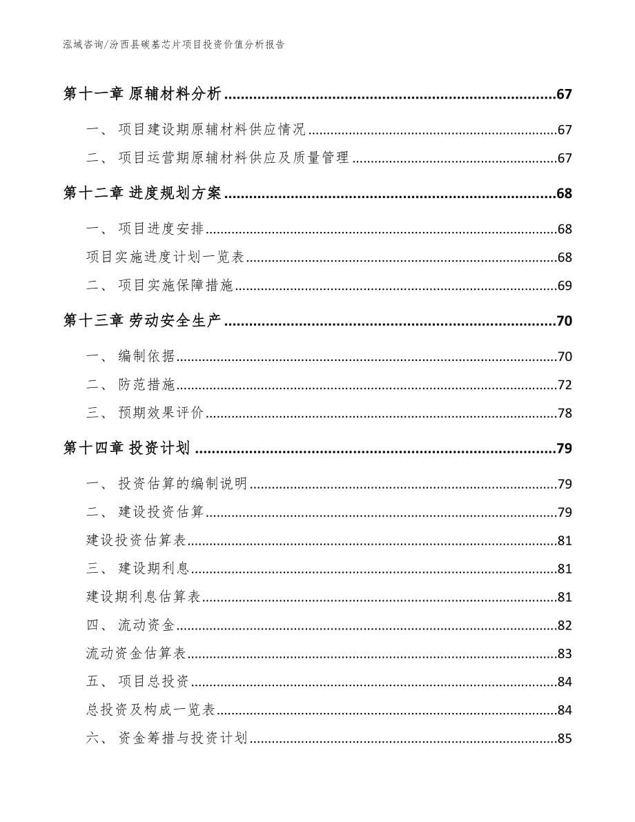 汾西县碳基芯片项目投资价值分析报告参考模板_第5页