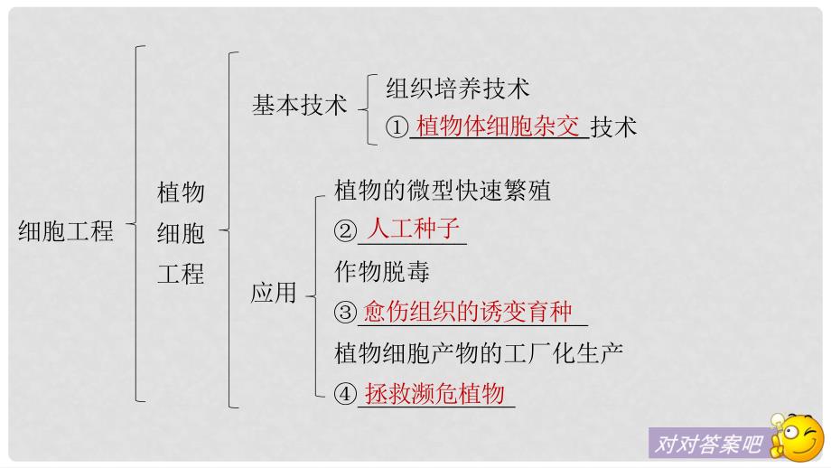 高中生物 第3章 细胞工程章末整合提升同步备课课件 北师大版选修3_第4页