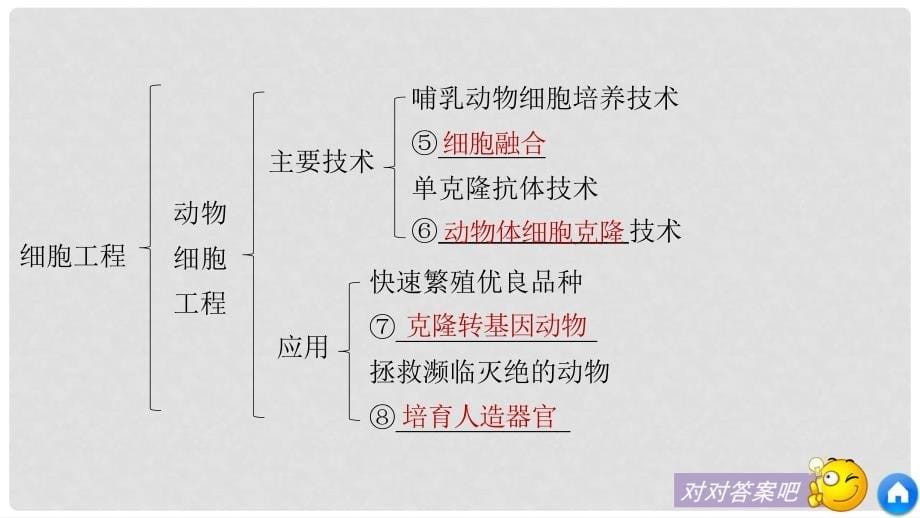 高中生物 第3章 细胞工程章末整合提升同步备课课件 北师大版选修3_第5页