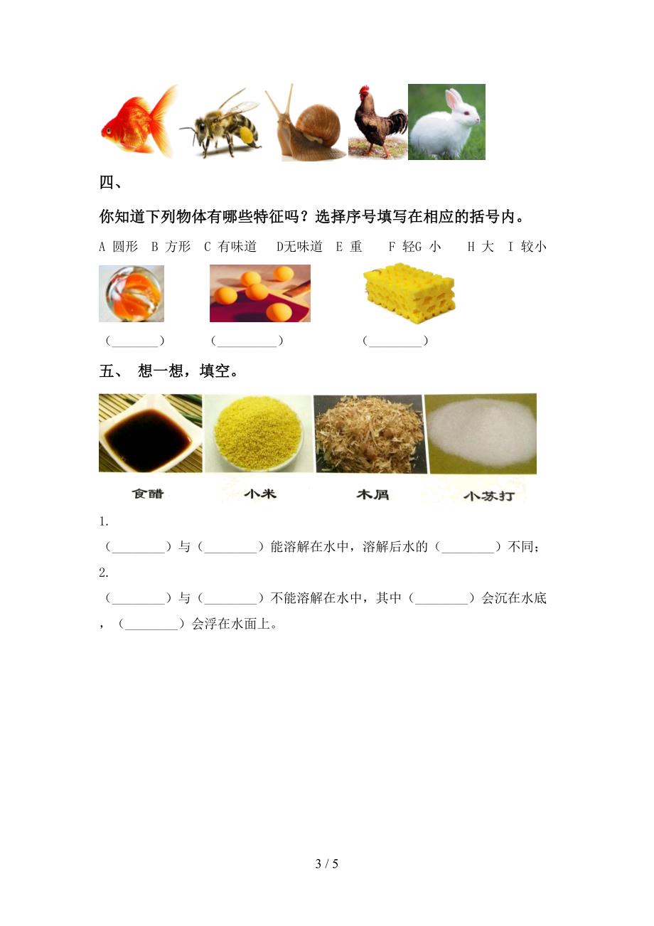 教科版一年级科学上册期中考试(教科版).doc_第3页