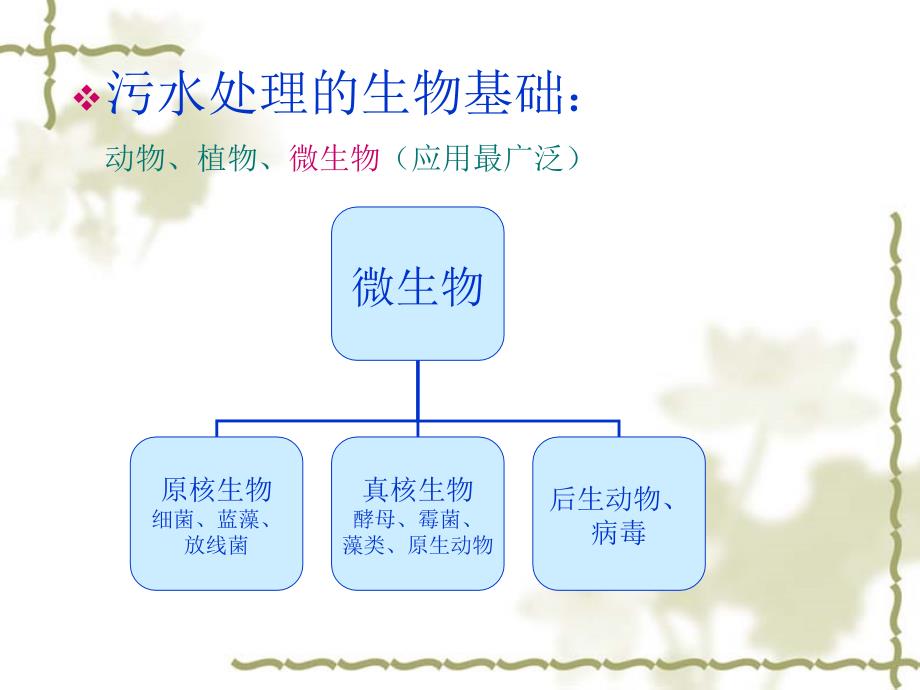 污染水体生物处理技术_第3页