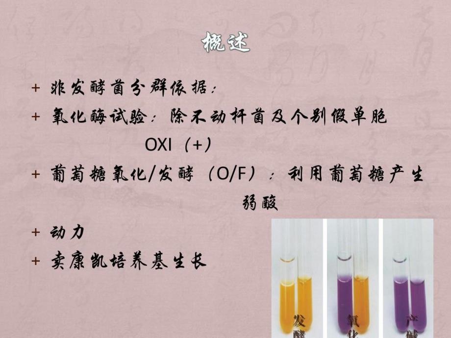 非发酵菌及检验课件_第4页