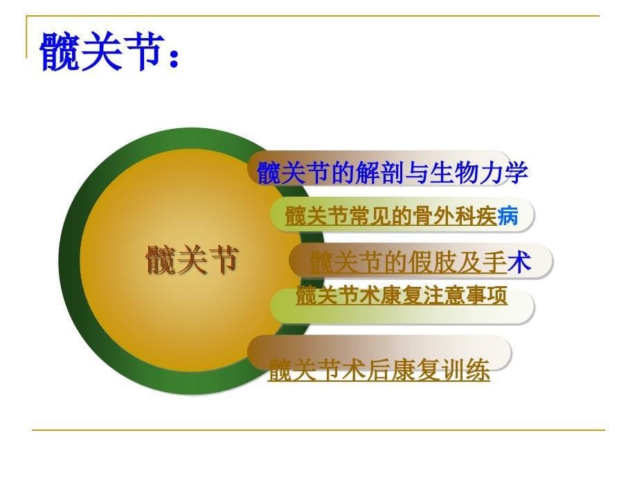 髋关节置换术后的康复训练_第5页