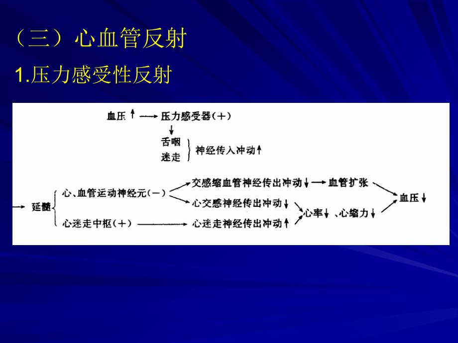 2血管的神经支配文档资料_第2页