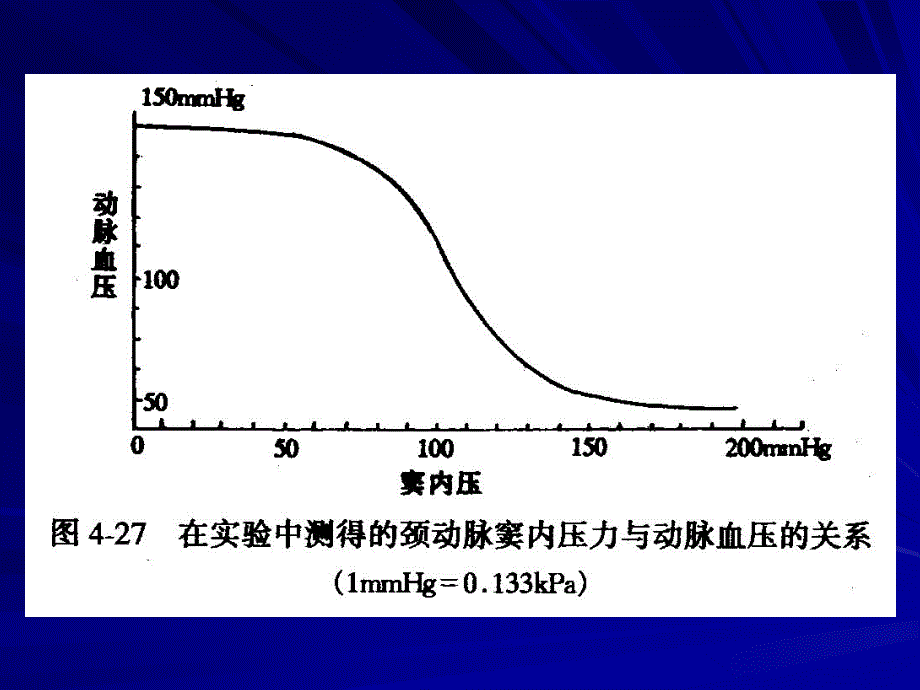 2血管的神经支配文档资料_第3页