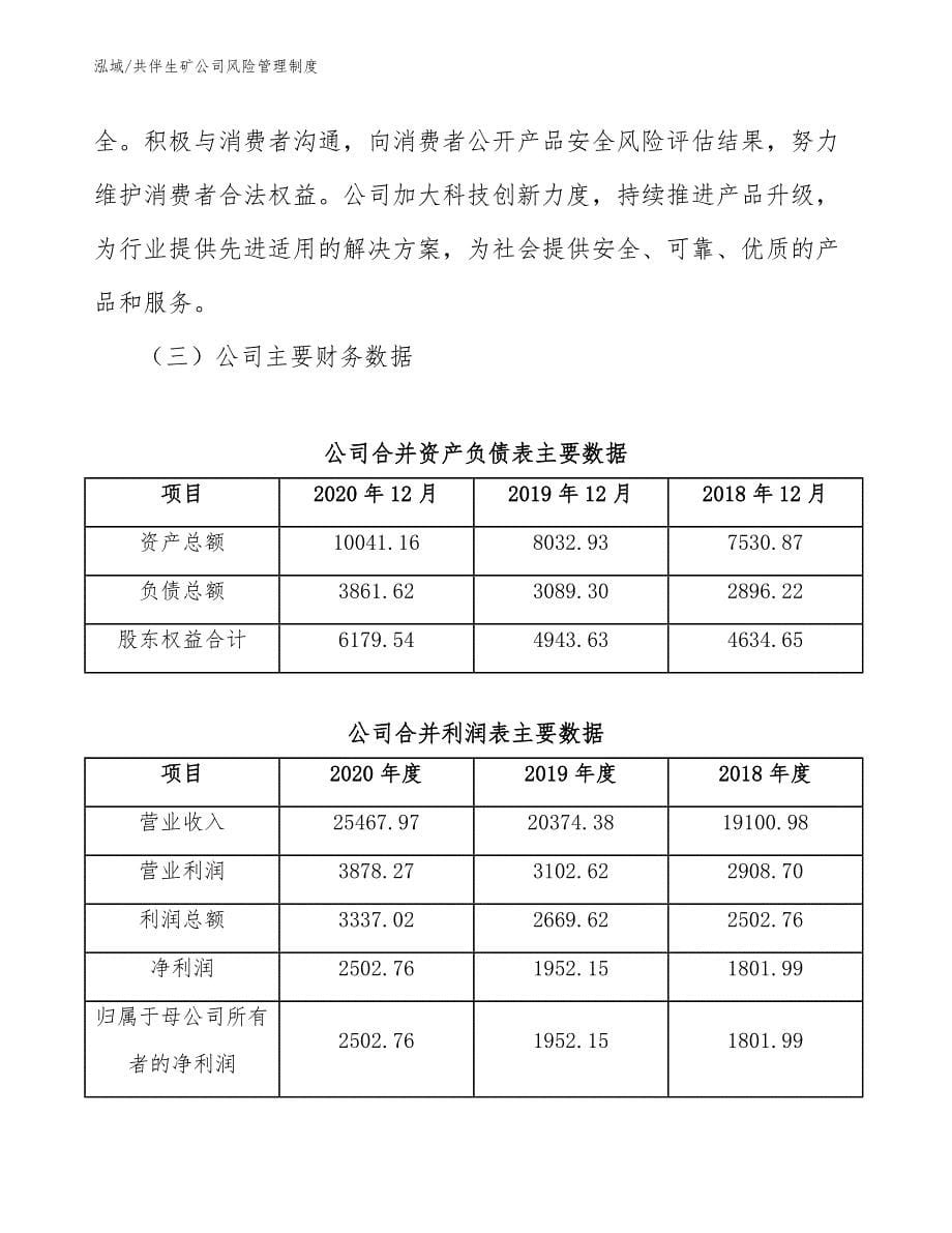 共伴生矿公司风险管理制度_第5页