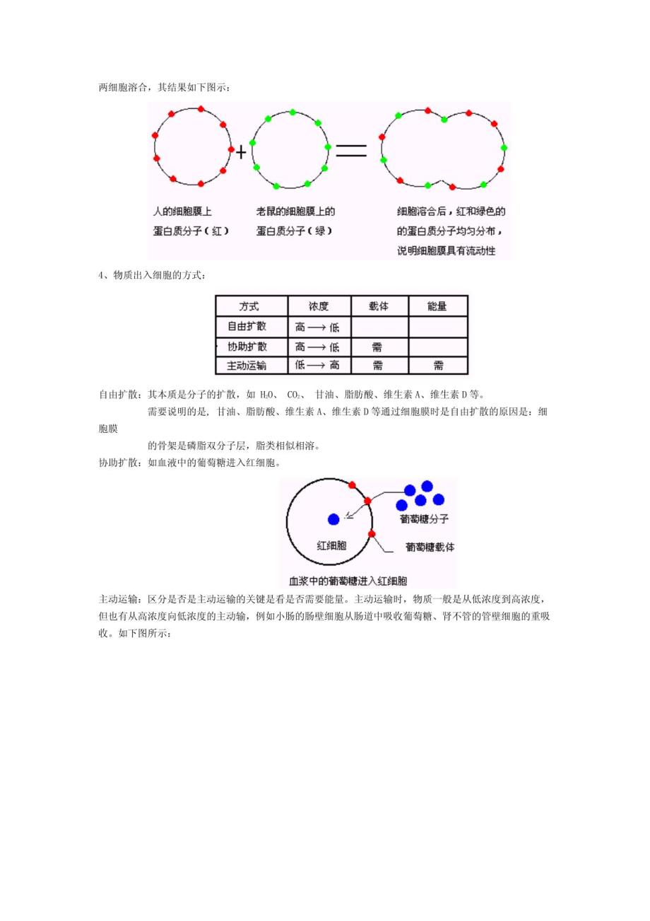 高二生物学习笔记_第4页